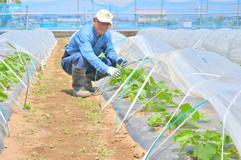 農作業をする山本ふみひろ